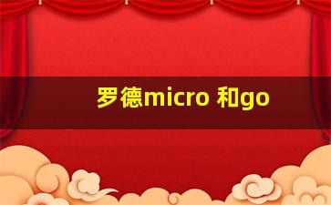 罗德micro 和go